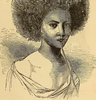 Picture 254 of 693 from New physiognomy (1867), leaf 286