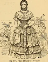 Picture 259 of 693 from New physiognomy (1867), leaf 300