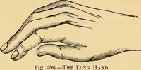 Picture 266 of 693 from New physiognomy (1867), leaf 310