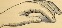 Picture 267 of 693 from New physiognomy (1867), leaf 310