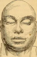 Picture 12 of 693 from New physiognomy (1867), leaf 32