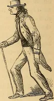 Picture 285 of 693 from New physiognomy (1867), leaf 329