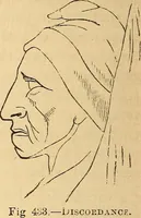 Picture 292 of 693 from New physiognomy (1867), leaf 347