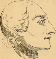 Picture 15 of 693 from New physiognomy (1867), leaf 35