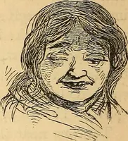 Picture 303 of 693 from New physiognomy (1867), leaf 357