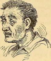 Picture 304 of 693 from New physiognomy (1867), leaf 357
