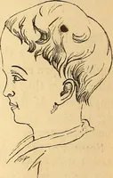 Picture 309 of 693 from New physiognomy (1867), leaf 363
