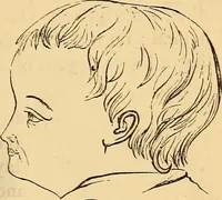 Picture 310 of 693 from New physiognomy (1867), leaf 364