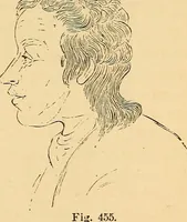Picture 312 of 693 from New physiognomy (1867), leaf 364