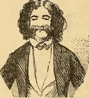 Picture 313 of 693 from New physiognomy (1867), leaf 365