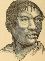 Picture 327 of 693 from New physiognomy (1867), leaf 373