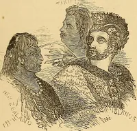 Picture 331 of 693 from New physiognomy (1867), leaf 384