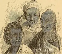 Picture 337 of 693 from New physiognomy (1867), leaf 390