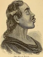 Picture 340 of 693 from New physiognomy (1867), leaf 393