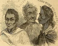 Picture 341 of 693 from New physiognomy (1867), leaf 393