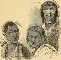 Picture 344 of 693 from New physiognomy (1867), leaf 395