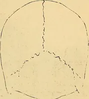 Picture 346 of 693 from New physiognomy (1867), leaf 396