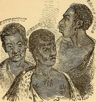 Picture 348 of 693 from New physiognomy (1867), leaf 397