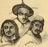 Picture 350 of 693 from New physiognomy (1867), leaf 398