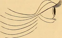 Picture 17 of 693 from New physiognomy (1867), leaf 40