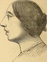 Picture 366 of 693 from New physiognomy (1867), leaf 411