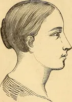 Picture 367 of 693 from New physiognomy (1867), leaf 411