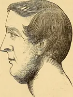 Picture 369 of 693 from New physiognomy (1867), leaf 412