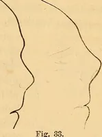 Picture 18 of 693 from New physiognomy (1867), leaf 44