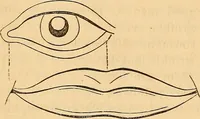 Picture 19 of 693 from New physiognomy (1867), leaf 45