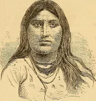 Picture 418 of 693 from New physiognomy (1867), leaf 460