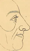 Picture 21 of 693 from New physiognomy (1867), leaf 47