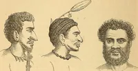 Picture 435 of 693 from New physiognomy (1867), leaf 475