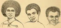 Picture 436 of 693 from New physiognomy (1867), leaf 475