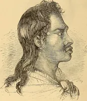 Picture 440 of 693 from New physiognomy (1867), leaf 479