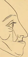 Picture 22 of 693 from New physiognomy (1867), leaf 48