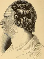 Picture 444 of 693 from New physiognomy (1867), leaf 481