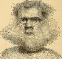 Picture 446 of 693 from New physiognomy (1867), leaf 483