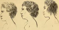 Picture 450 of 693 from New physiognomy (1867), leaf 486