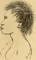 An illustration from New physiognomy (1867)