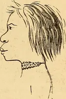 Picture 451 of 693 from New physiognomy (1867), leaf 486
