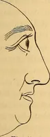 Picture 23 of 693 from New physiognomy (1867), leaf 50