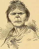 Picture 471 of 693 from New physiognomy (1867), leaf 544