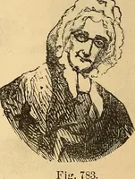 Picture 505 of 693 from New physiognomy (1867), leaf 585