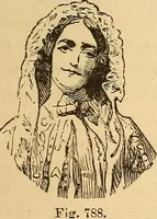 Picture 510 of 693 from New physiognomy (1867), leaf 588