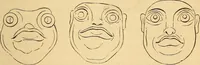 Picture 518 of 693 from New physiognomy (1867), leaf 594