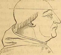 Picture 529 of 693 from New physiognomy (1867), leaf 608