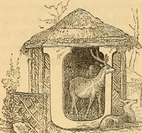 Picture 532 of 693 from New physiognomy (1867), leaf 611