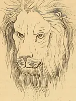 Picture 535 of 693 from New physiognomy (1867), leaf 613