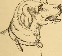Picture 542 of 693 from New physiognomy (1867), leaf 616