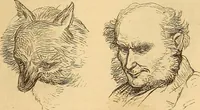 Picture 552 of 693 from New physiognomy (1867), leaf 622